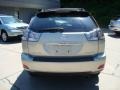 Bamboo Green Pearl - RX 350 AWD Photo No. 3