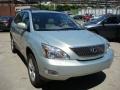 Bamboo Green Pearl - RX 350 AWD Photo No. 5