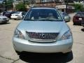 Bamboo Green Pearl - RX 350 AWD Photo No. 6