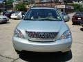 2007 Bamboo Green Pearl Lexus RX 350 AWD  photo #6