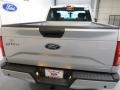 Ingot Silver Metallic - F150 XL Regular Cab Photo No. 6