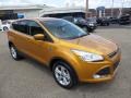 2016 Electric Spice Metallic Ford Escape SE 4WD  photo #10