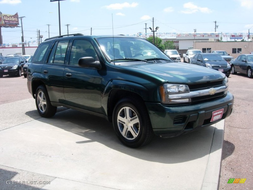 2005 TrailBlazer LS 4x4 - Emerald Jewel Green Metallic / Light Gray photo #7