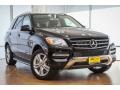 Black - ML 350 Photo No. 12