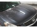 Dark Slate Metallic - Maxima 3.5 SE Photo No. 40
