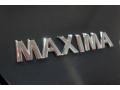 Dark Slate Metallic - Maxima 3.5 SE Photo No. 79