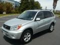 Titanium Metallic - RAV4  Photo No. 3