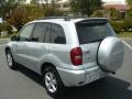 Titanium Metallic - RAV4  Photo No. 4
