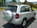 Titanium Metallic - RAV4  Photo No. 6