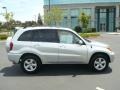 Titanium Metallic - RAV4  Photo No. 7