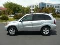 Titanium Metallic - RAV4  Photo No. 8
