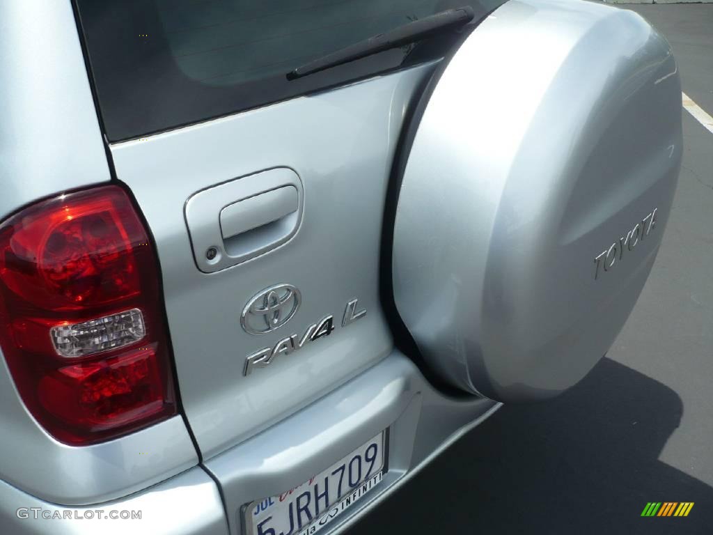 2004 RAV4  - Titanium Metallic / Dark Charcoal photo #10