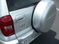 Titanium Metallic - RAV4  Photo No. 10