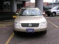 Mojave Beige Metallic - Passat GLS Wagon Photo No. 2