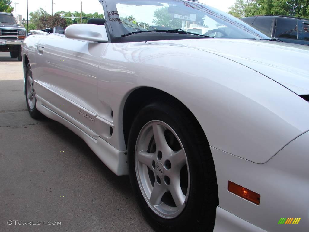 1998 Firebird Convertible - Arctic White / Dark Pewter photo #7