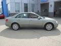 2010 Natural Khaki Hyundai Sonata Limited  photo #2