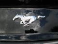 Magnetic Metallic - Mustang EcoBoost Coupe Photo No. 9