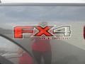 2015 Magnetic Metallic Ford F150 XLT SuperCrew 4x4  photo #15