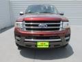 Bronze Fire Metallic - Expedition King Ranch Photo No. 8