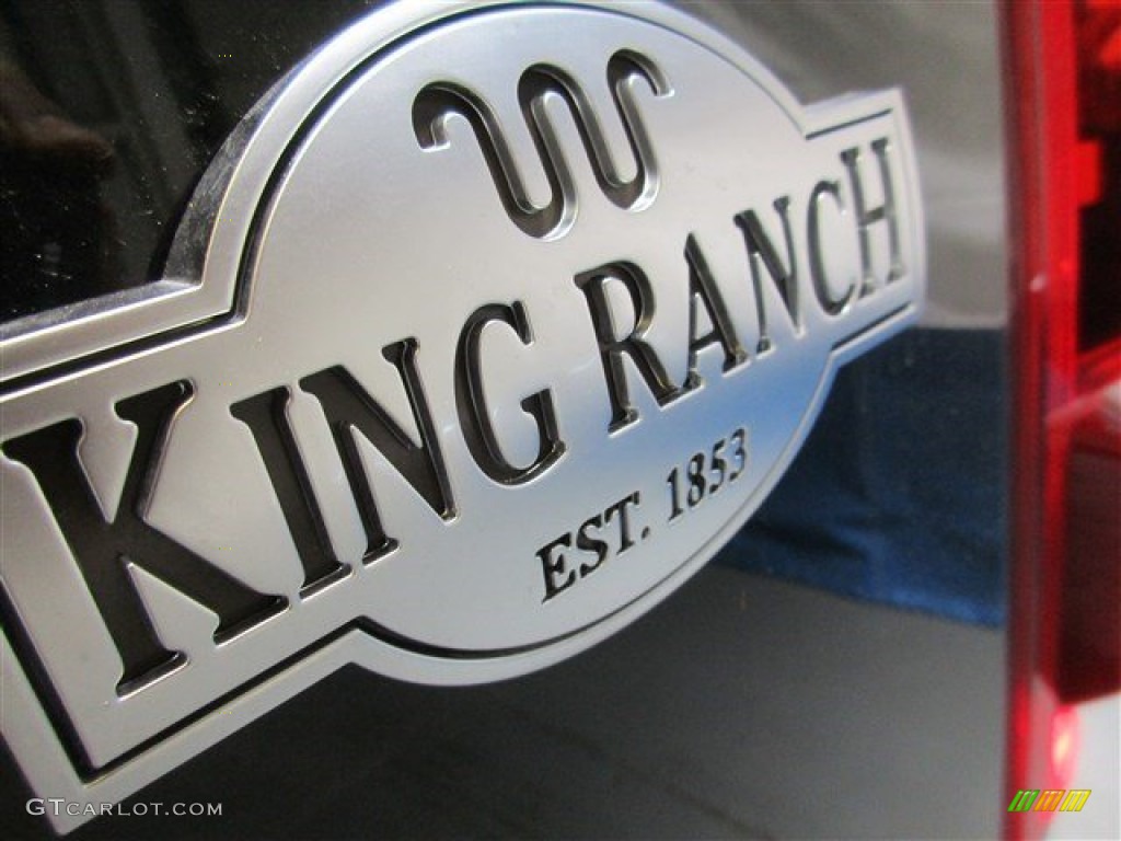 2015 F150 King Ranch SuperCrew 4x4 - Green Gem Metallic / King Ranch Java/Mesa photo #8