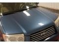 Newport Blue Pearl - Forester 2.5 X Photo No. 42