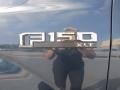 2015 Blue Jeans Metallic Ford F150 XLT SuperCrew  photo #13
