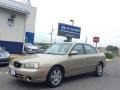 Champagne Beige 2003 Hyundai Elantra GLS Sedan