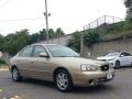 Champagne Beige - Elantra GLS Sedan Photo No. 3