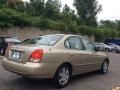 Champagne Beige - Elantra GLS Sedan Photo No. 4