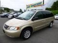 Champagne Pearl 2001 Chrysler Town & Country LXi