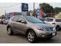 2010 Platinum Graphite Metallic Nissan Murano LE AWD  photo #1