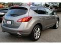 2010 Platinum Graphite Metallic Nissan Murano LE AWD  photo #3