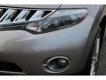 Platinum Graphite Metallic - Murano LE AWD Photo No. 35