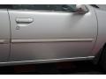Platinum Metallic - Altima GLE Photo No. 45