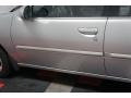 Platinum Metallic - Altima GLE Photo No. 64