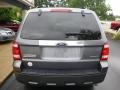 2009 Sterling Grey Metallic Ford Escape Limited V6 4WD  photo #8
