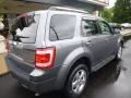 2009 Sterling Grey Metallic Ford Escape Limited V6 4WD  photo #9