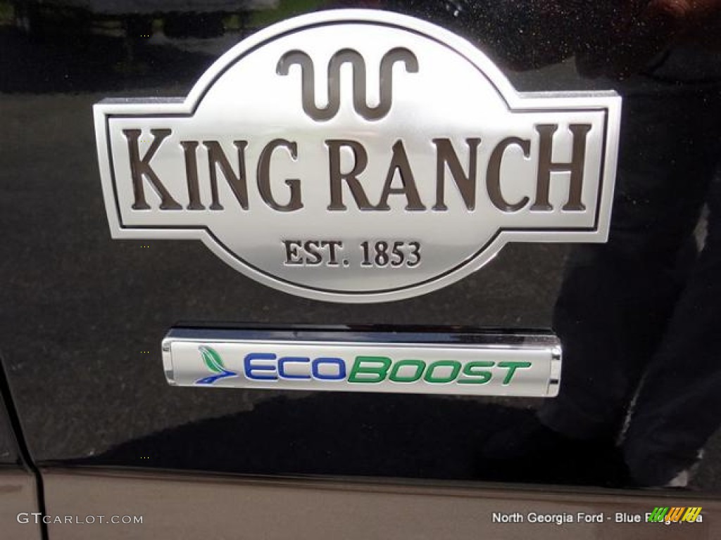 2015 F150 King Ranch SuperCrew 4x4 - Tuxedo Black Metallic / King Ranch Java/Mesa photo #39
