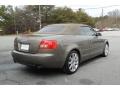 Alpaka Beige Pearl Effect - A4 1.8T Cabriolet Photo No. 25