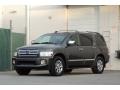Silver Graphite Gray - QX 56 4WD Photo No. 4