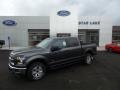 2015 Magnetic Metallic Ford F150 XLT SuperCrew 4x4  photo #1