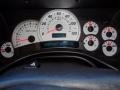 Wheat Gauges Photo for 2003 Hummer H2 #105513561
