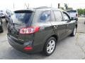 Black Forest Green Metallic - Santa Fe SE Photo No. 6