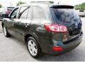 2010 Black Forest Green Metallic Hyundai Santa Fe SE  photo #10