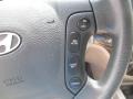 Platinum Sage - Santa Fe GLS 4WD Photo No. 34