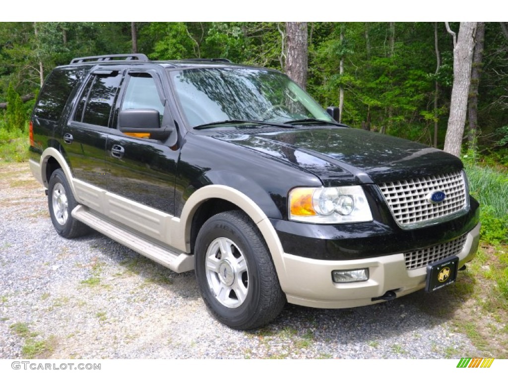 2005 Expedition Eddie Bauer 4x4 - Black Clearcoat / Medium Parchment photo #7