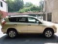 Sandy Beach Metallic - RAV4 I4 4WD Photo No. 10