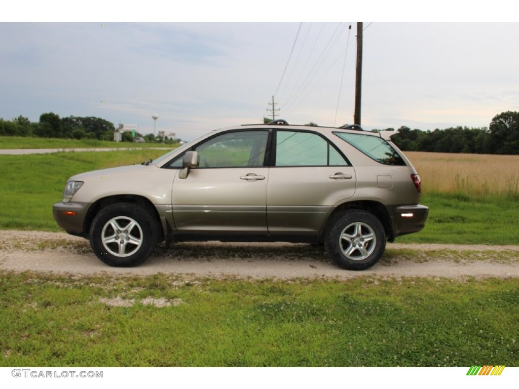 2000 RX 300 AWD - Burnished Gold Metallic / Ivory photo #4