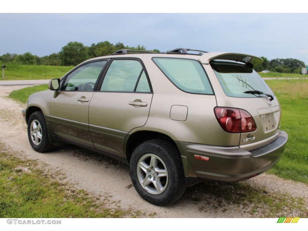 2000 RX 300 AWD - Burnished Gold Metallic / Ivory photo #5