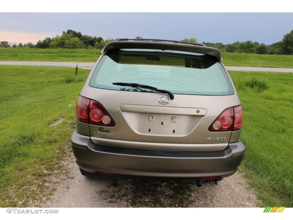 2000 RX 300 AWD - Burnished Gold Metallic / Ivory photo #6